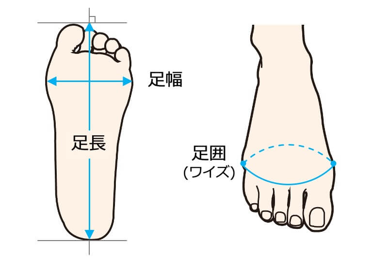 失敗しない靴選びのために。正しい足のサイズの測り方をまとめ解説 失敗しない靴選びのために。正しい足のサイズの測り方をまとめ解説